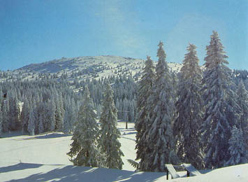 KOPAONIK