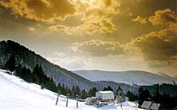 Brezovica
